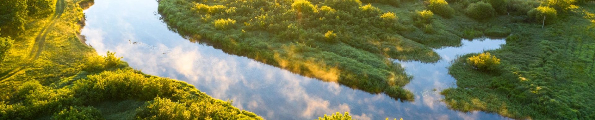 AdobeStock_316679215