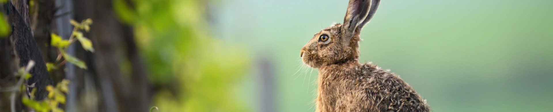 AdobeStock_1455023422