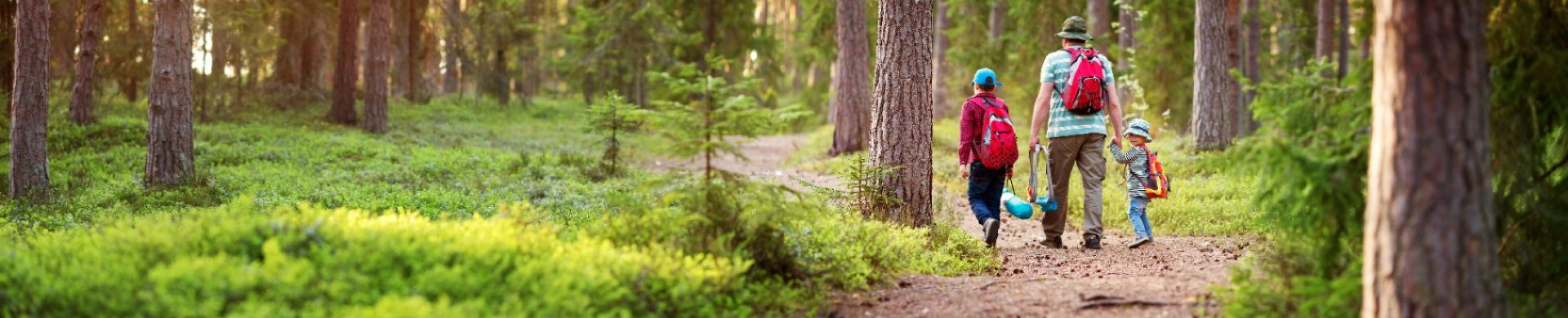 AdobeStock_205073273